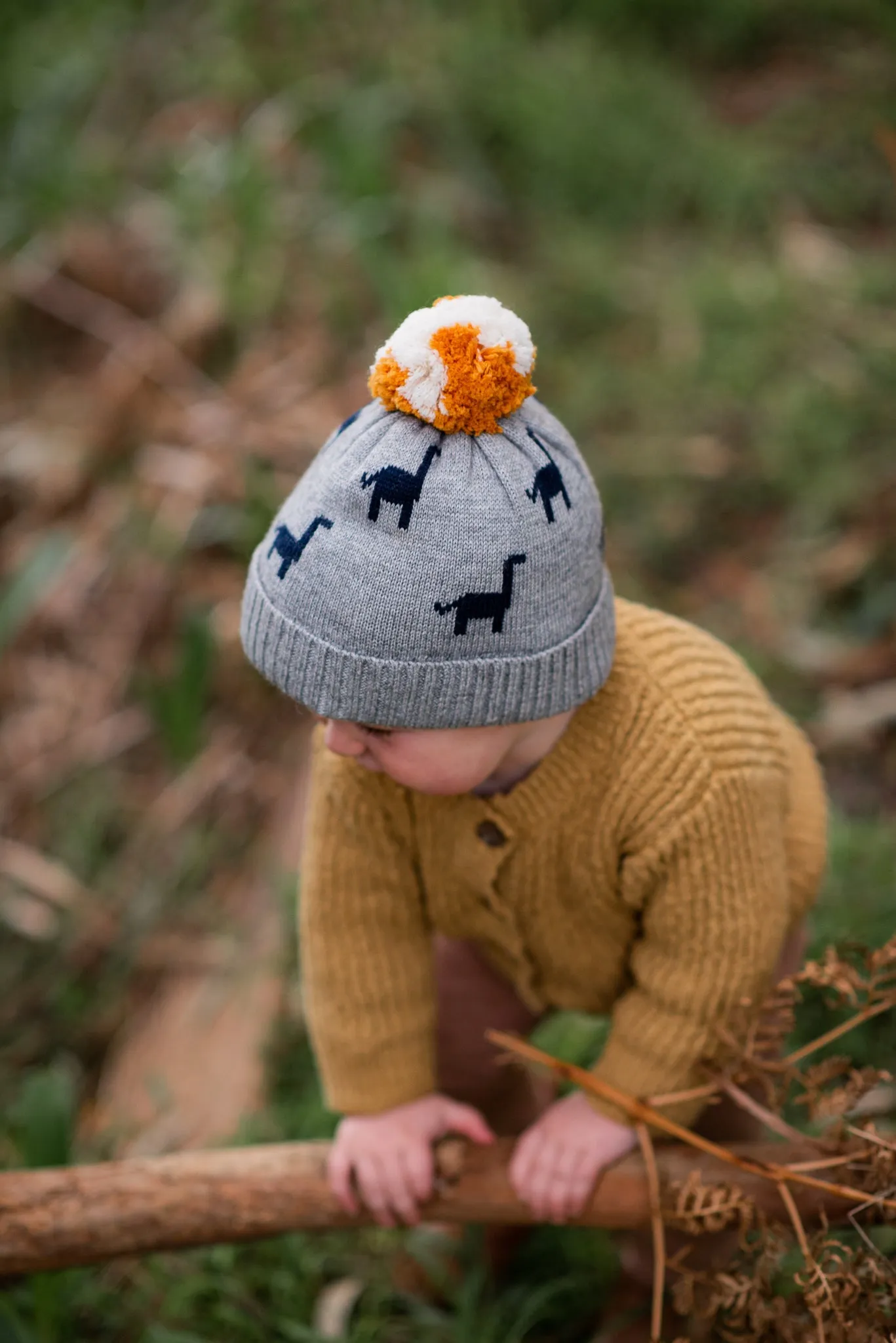 Dinosaur Beanie