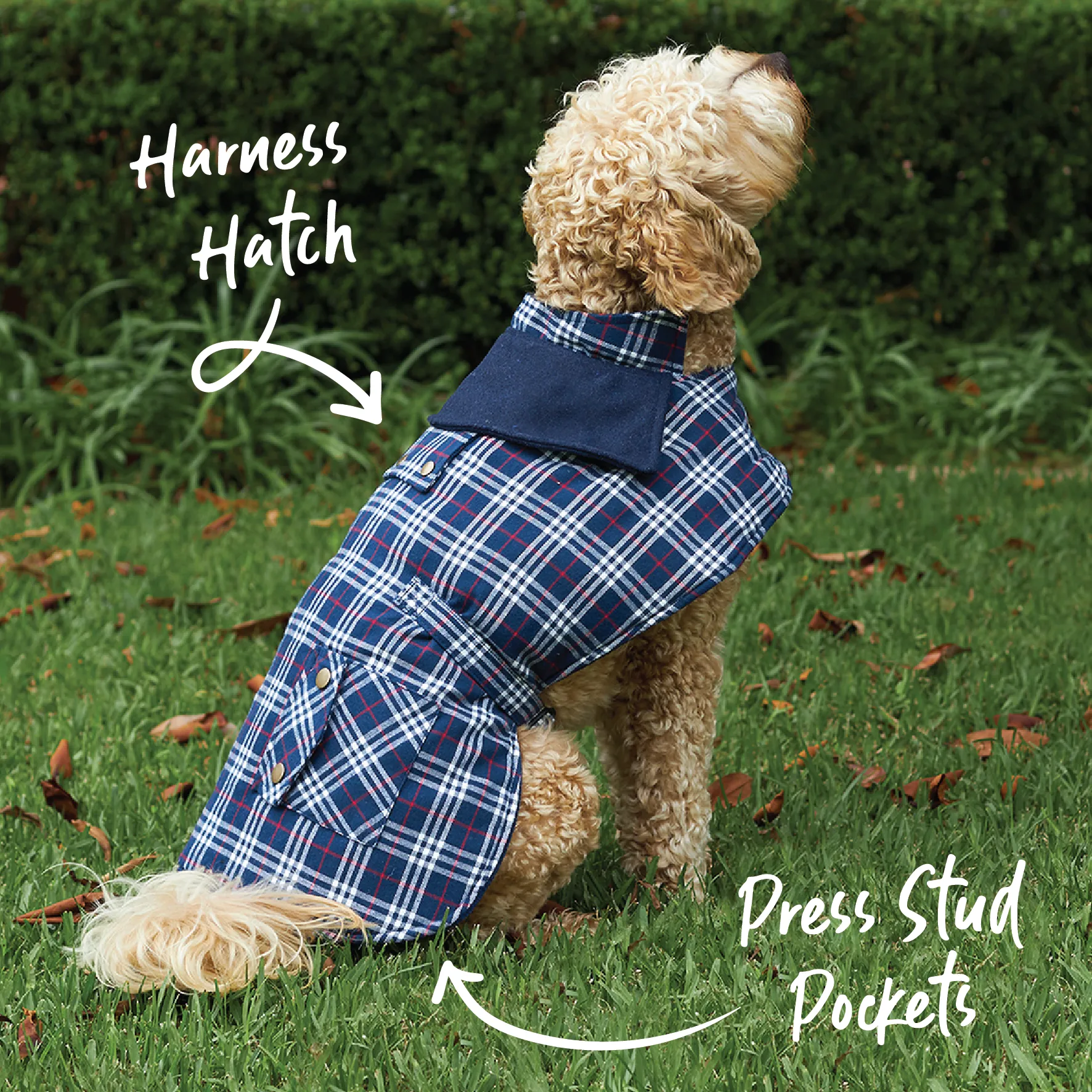 Jackaroo Dog Coat