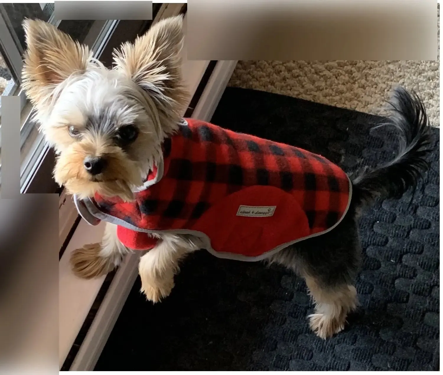 Precision Fit™ Plaid Fleece Dog Coat Jacket 6 LBS to 130 LBS